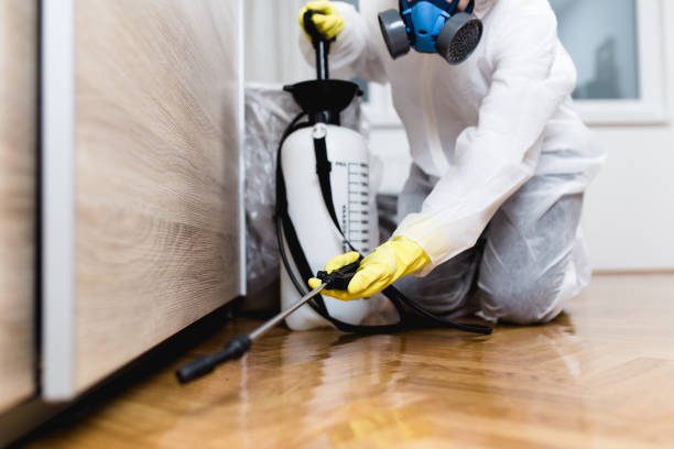Best Mosquito Control Services  in Somerset, KY