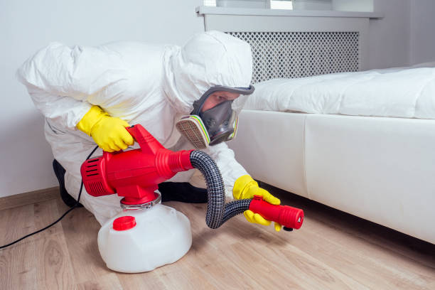 Best Wasp Removal Services  in Somerset, KY