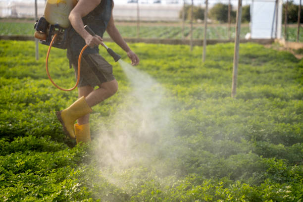 Best Pest Control Treatment  in Somerset, KY
